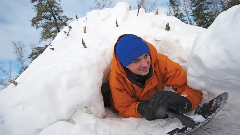 Scout emerging from his igloo